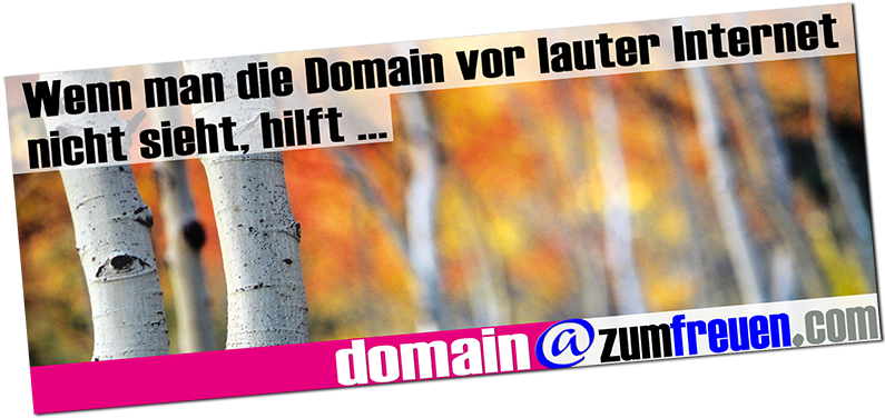 mit domains werben